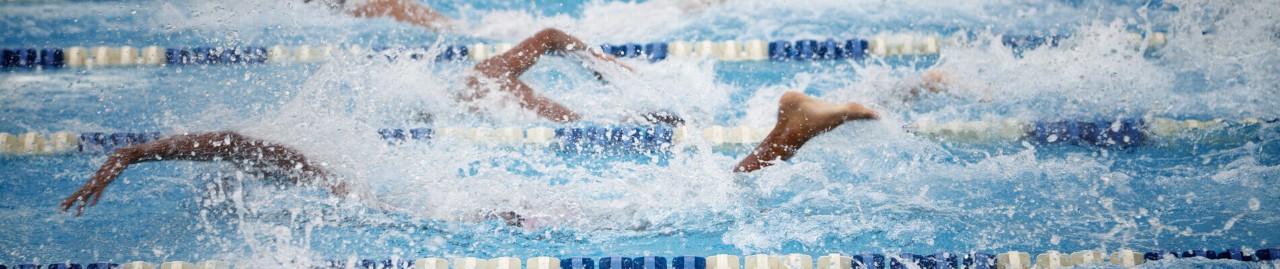 Swimmers in swimming lanes